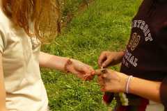Domka_LTabor08_232