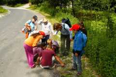 Domka_LTabor08_294