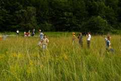 Domka_LTabor08_312