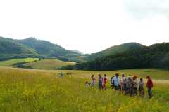 Domka_LTabor08_314