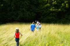 Domka_LTabor08_326