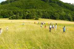 Domka_LTabor08_330