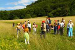 Domka_LTabor08_334