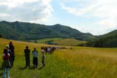 Domka_LTabor08_347