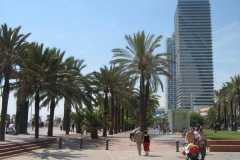 Spain-740