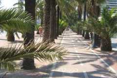Spain-741
