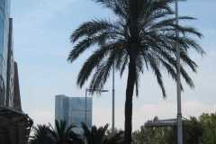 Spain-755