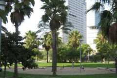 Spain-785